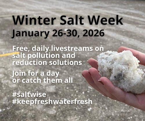 Winter Salt Week 2026 poster
