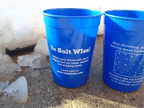 Salt Wise Cups