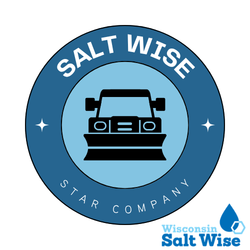 Salt Wise Star Company logo